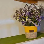 Casa Roque Hébergement de vacances Garachico (Tenerife)