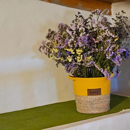 Casa Roque Feriehus Garachico (Tenerife)