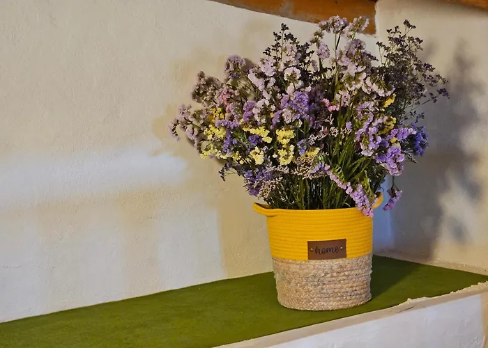 Casa Roque Σπίτι διακοπών Garachico (Tenerife)